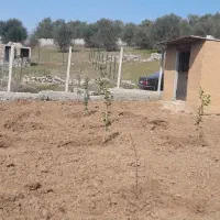فروش زمین ۲۳۰ متری در روستای توریستی زیبای توشن