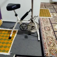 دوچرخه ثابت
