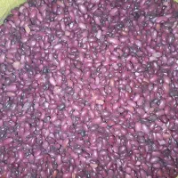 لوبیا قرمز ۲۵۰ هزار تومان