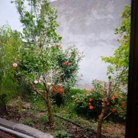 خانه-اجاره-ای-ویلایی-در-سراب-قلعه-شاهین