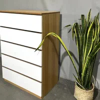 دراور پنجکشو/ (ارسال رایگان شهر تهران وکرج)|جاکفشی، کمد، دراور|کرج, عظیمیه|دیوار