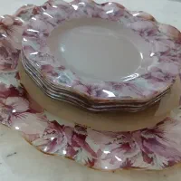 ظرف ارکوپال