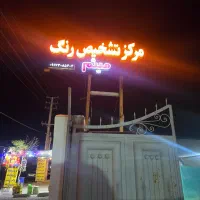 تشخیص رنگ میثم