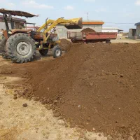 کود گاوی وگوسفندی|خدمات باغبانی و درختکاری|نکا, |دیوار