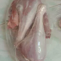 گوشت بوقلمون|خوردنی و آشامیدنی|شاهرود, |دیوار