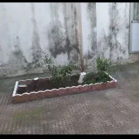 اجاره ویلایی