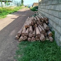 خرید چوب سقفی|خدمات پیشه و مهارت|سلماس, |دیوار