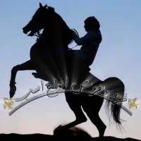 خرید و فروش اسب سردمگیرو سواریدار