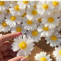 شمع گل|صنایع دستی و سایر لوازم تزئینی|قم, تعویض پلاک|دیوار