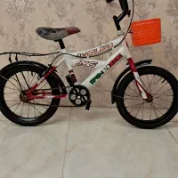 دوچرخه ۱۶ سالم