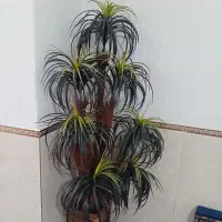 گل‌ مصنوعی