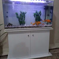 اکواریوم وارداتی