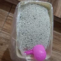 خاک گربه