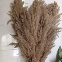 گل آپارتمانی پامپراس گلدان فلزی بزرگ