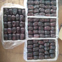 نیاز به همکار برای پخش خرما