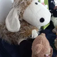 عروسک|اسباب‌بازی بچه|محمدیه-قزوین, |دیوار