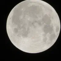 دوربین عکاسی کنون SX540HS|دوربین عکاسی و فیلم‌برداری|تبریز, |دیوار