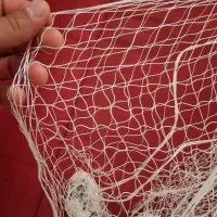 تورماهیگیری یا سالیک|ماهیگیری|تهران, امام زاده عبدالله|دیوار