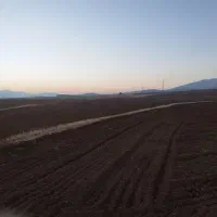 فروش زمینی زراعی آدینان|فروش زمین و ملک کلنگی|زیویه, |دیوار