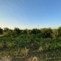 فروش فوری باغ موقعیت وقیمت بسیار مناسب|فروش دفتر صنعتی، کشاورزی، تجاری|سراب, |دیوار