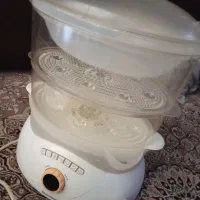 بخار پز برقی