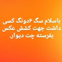 سگ قهدریجانی|سگ|اصفهان, سپاهان‌شهر|دیوار