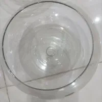 تنگ ماهی بزرگ نو