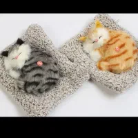 گربه خوابیده|اسباببازی|زنجان, |دیوار