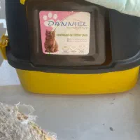 ظرف خاک گربه|گربه|کیش, |دیوار