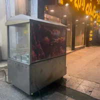 فر ذغالی بال و بازو پاچینی سالم برقی