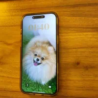 آیفون 16 پرو مکس 256G - بدون ریجیستر|موبایل|اصفهان, سپاهان‌شهر|دیوار