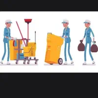 تمیز کاری درخدمتم