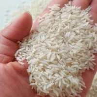 برنج درجه ۱ هاشمی
