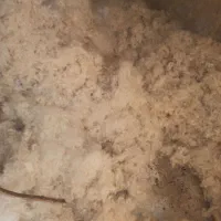 پنبه زنی و تشک دوزی جویبار حلاجی پنبه با دستگاه|رختخواب، بالش، پتو|کازرون, |دیوار