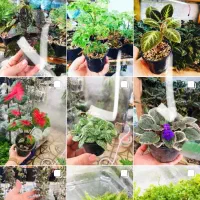 استخدام کارگر خانوم جهت تازیین گل و گیاه|استخدام خدمات فروشگاه و رستوران|محمدشهر, محمدشهر|دیوار