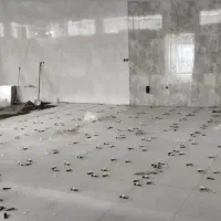 اوستا سنگ کار کاشی کار اجرا