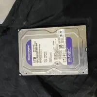 هارد ۱ ترابایت وسترن بنفش