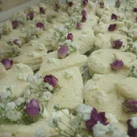 تهیه ی نون وپنیر سفره عقد