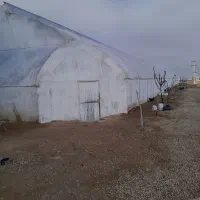 گارگر گلخانه کبودراهنگ