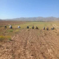 درخواست-رمین-اجاره-دین-تا-300-هکتار