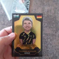 گلدن لیمیتد