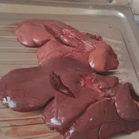 نیروی ماهر و نیمه ماهر