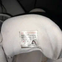 کتونی امیری|کیف، کفش، کمربند|رشت, استقامت ۲|دیوار