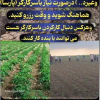 دسته کارگر برای انجام تمامی کارهای کشاورزی.