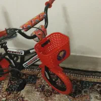 دوچرخه 12|دوچرخه، اسکیت، اسکوتر|تربت جام, میان جام|دیوار