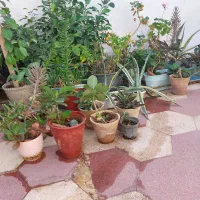 سرگرمی و فراغت