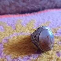 فیروزه و شجر پاییزی|جواهرات|اهواز, کوی ترابری|دیوار