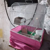 قفس پرنده
