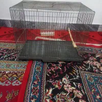 ۲ عددقفس قناری سایز بزرگ