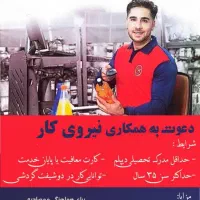 استخدام نیروی کار افق کوروش